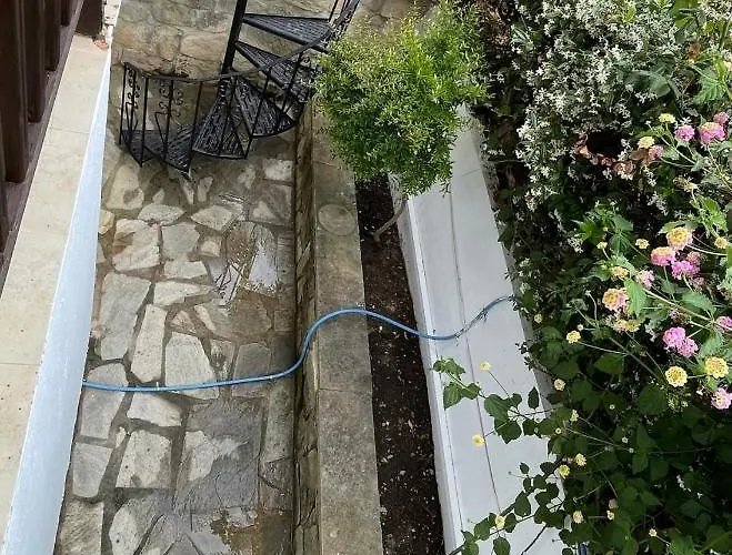 Nyaraló Ostraco Aphytis