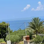 Ostraco Aphytis *